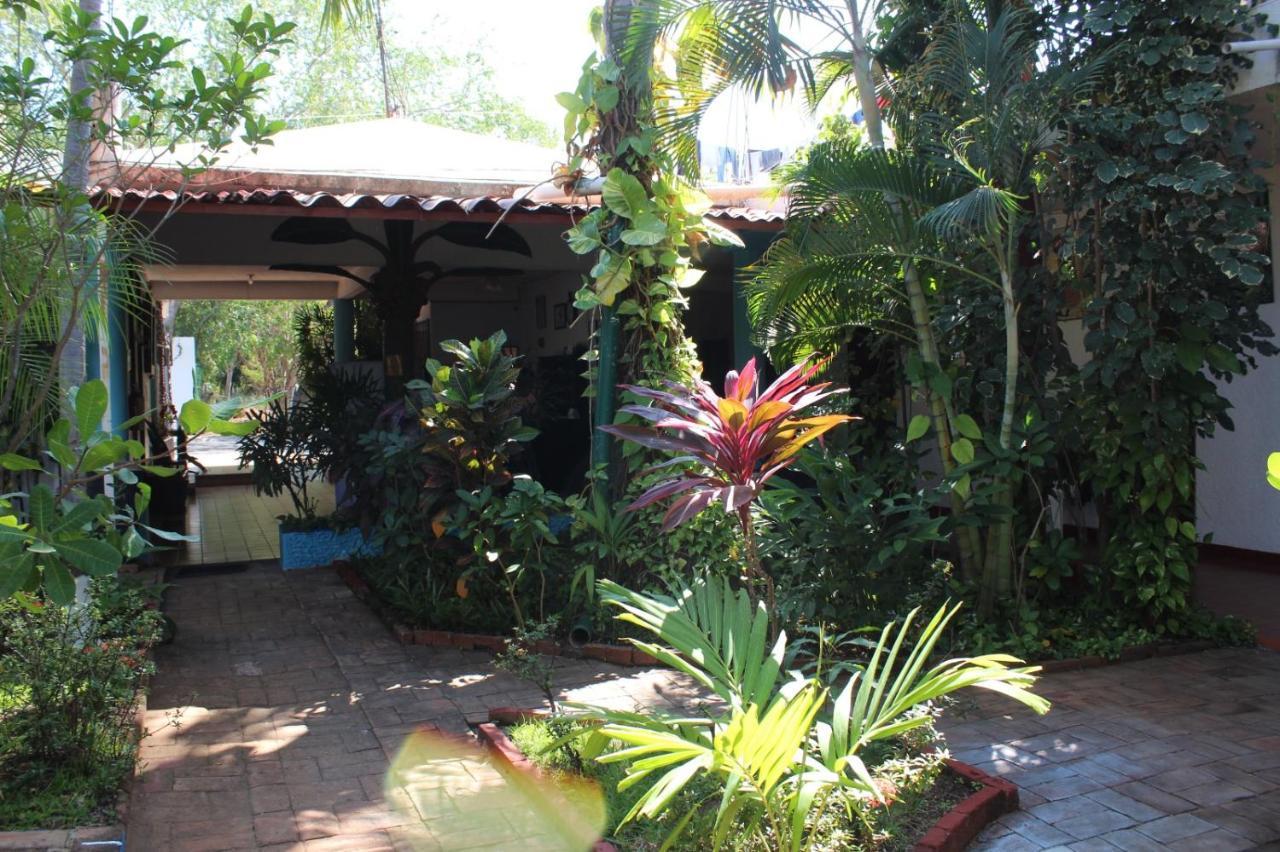 Hotel Albatros Puerto Escondido (Oaxaca) Exterior foto
